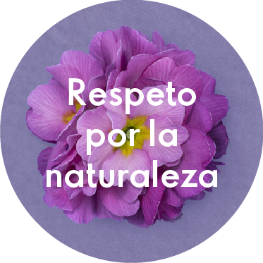 Respeto por la naturaleza